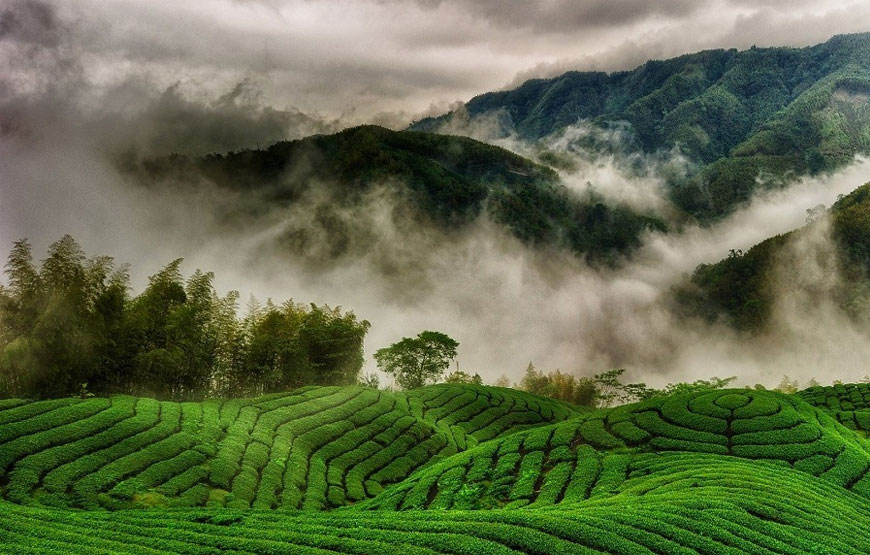 LOW BUDGET OOTY HONEYMOON PACKAGES FOR 2 DAYS 1 NIGHT